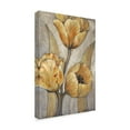 thumbnail image 2 of Trademark Fine Art 'Ochre & Grey Tulips I' Canvas Art by Tim OToole, 2 of 4