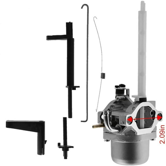 OAKTEN Replacement Carburetor for Briggs  Stratton 796122, 794593, 793161, 696737