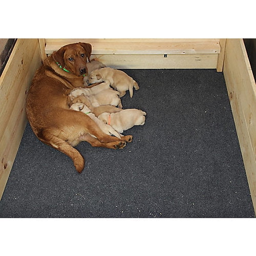 Drymate Whelping Box Liner 48x50