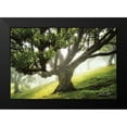 thumbnail image 2 of Podt, Martin 14x11 Black Modern Framed Museum Art Print Titled - King of the Forest, 2 of 5