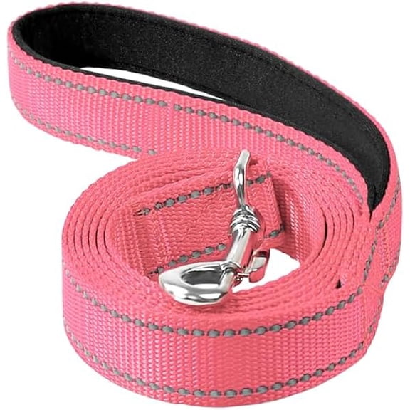 Eryueer Reflective Dog Leash 6ft Soft Padded Handle Nylon Lead for Medium & Large Dogs, Durable Walking Training Leash for Night Safety (Neon Pink,1Inch Wide)
