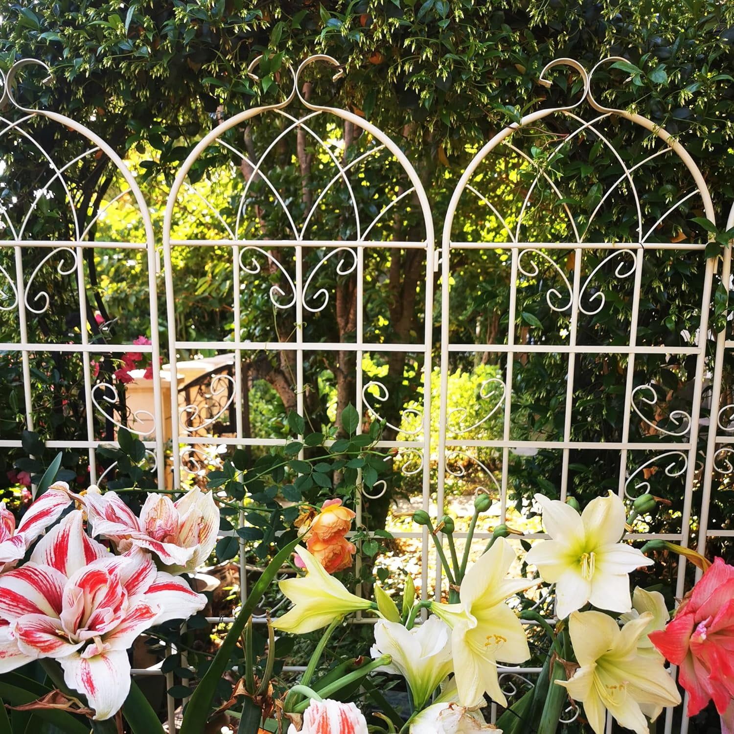 4 Pack Large Garden Trellis 86.7" H x 19.7" W Heavy Duty Rustproof White Iron Plant Trellis for Potted Plant Support Metal Climbing Rose Trellis Vine Vegetable Cucumber