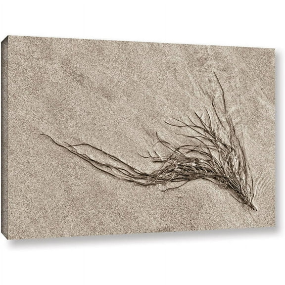 ArtWall Cora Niele "Beach Find I" Gallery-Wrapped Canvas