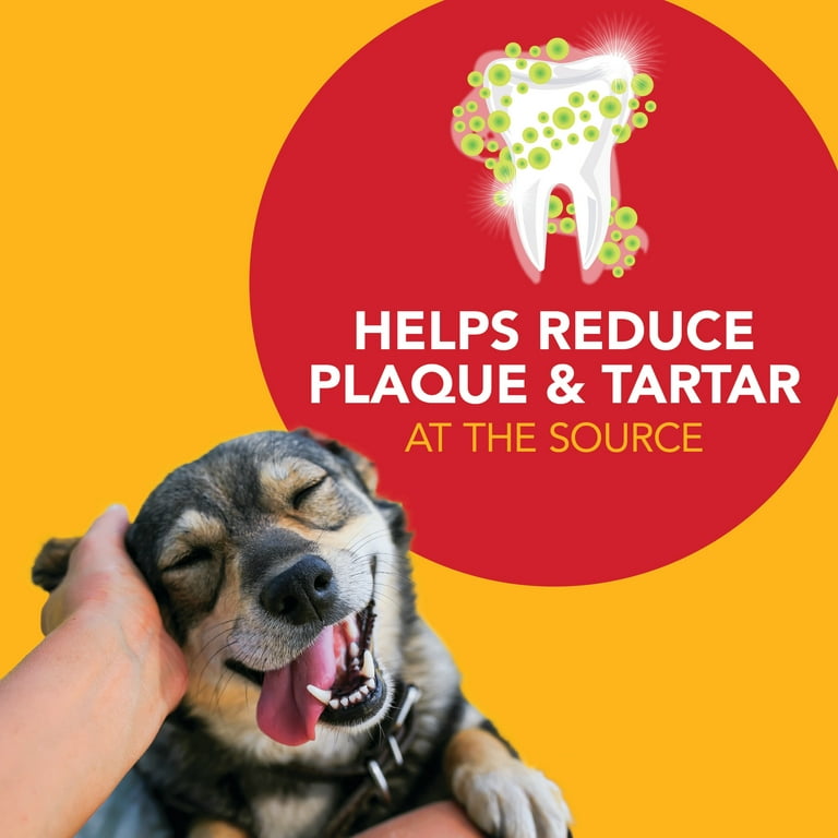 Petrodex Dental Care Kit for Adult Dogs photo 6