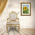 thumbnail image 3 of Horton, Janet 11x14 Gold Ornate Wood Framed with Double Matting Museum Art Print Titled - Issaquah-Washington State-USA Honeybee pollinating a sunflower on a sunny day, 3 of 4