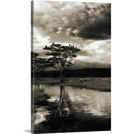 Great BIG Canvas | "African Sunset" Canvas Wall Art