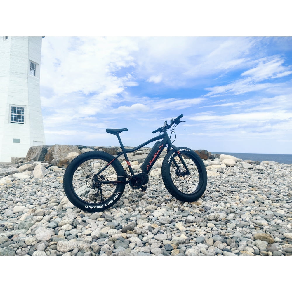 Rogue Wave Mountain Ebike 750W Electric Bike 4 Inch Fat Tire 20MPH 48V 14.5Ah Aluminum Frame Electric Mountain Bike for All Terrain Black