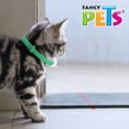 thumbnail image 4 of Fancy Pets. Juguete Collar para Gato con Puntero Laser, 4 of 4