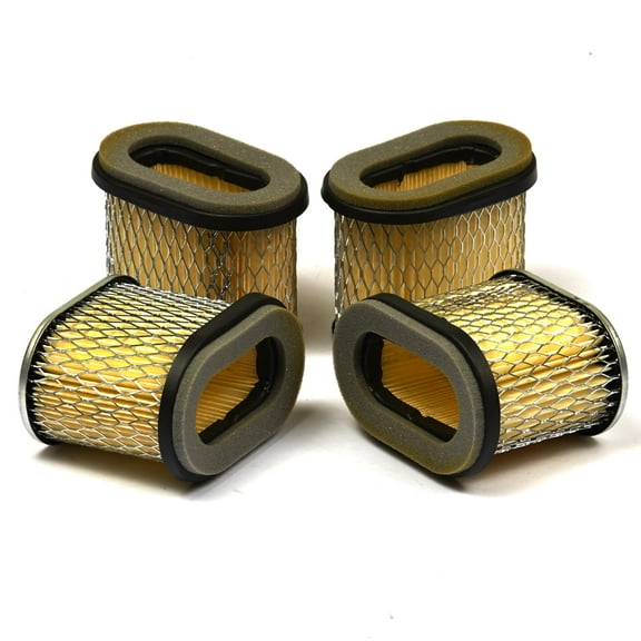 Briggs and Stratton Air Filter (4 of 692446)