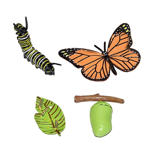 Conjunto de ciclo de crecimiento Animal educativo para niños de 3 a 6 años, regalo de Navidad, herramientas de enseñanza de ciencias, rompecabezas, mariposa 10x5.5cm