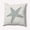 Pretty Gray, variant on Simply Daisy 16" x 16" Starfish Nautical Decorative Indoor Pillow