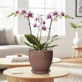 thumbnail image 7 of Wliror 6 Inch Rust Red Ceramic Plant Pot with Drainage – Terracotta‑Like Planter for Indoor Plants, Succulents, Cactus, 7 of 7
