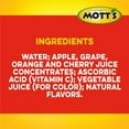 thumbnail image 3 of Mott's 100 % Fruit Punch 8 oz Bottles, 3 of 4