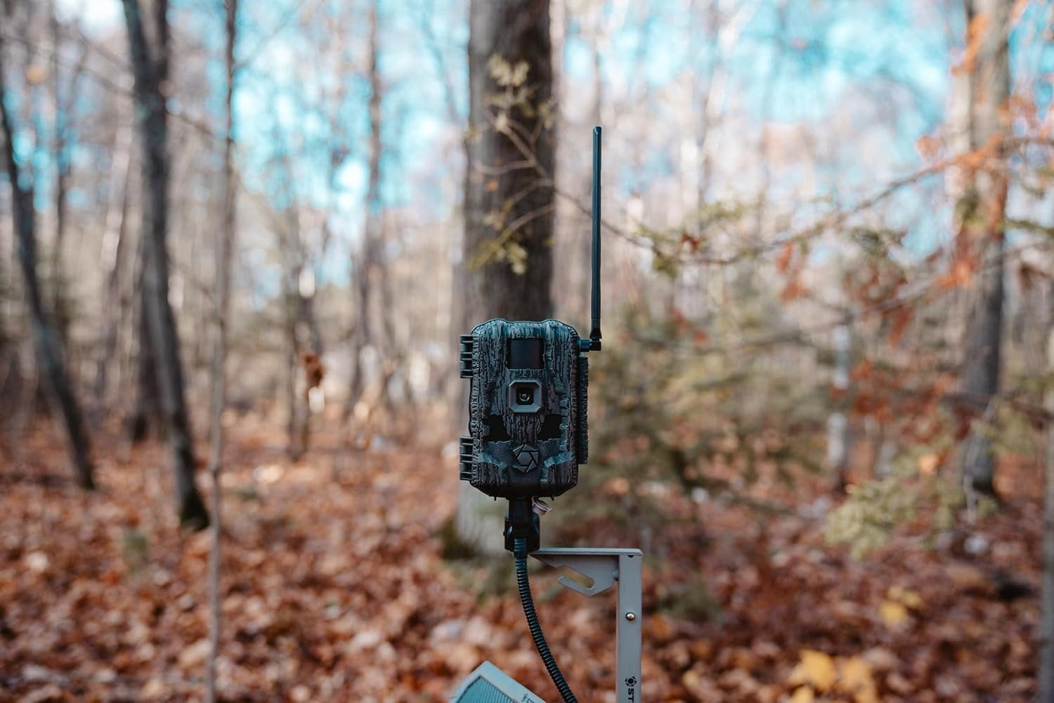 Stealth Cam Fusion Max 2.0 Cellular Trail Camera  36MP Photo, 1080P Video, AT&T/Verizon Compatible, Motion Activated w/Night Vision  Hunting & Wildlife Surveillance Camera + Solar Panel 2PK