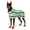 Green, variant on Soft Microfiber Pet Bathrobe & Loungewear, Quick Dry Dog Dressing Gown, 4 Color Options, Ideal for Post Bath Drying & Home Use, Fits Small to Large Dogs