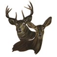 thumbnail image 1 of Next Innovations 101210114 Têtes de Cerf Art Mural en Métal, 1 of 1