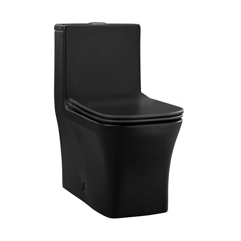 Rimless Flush Toilet, Matt Black Toilet