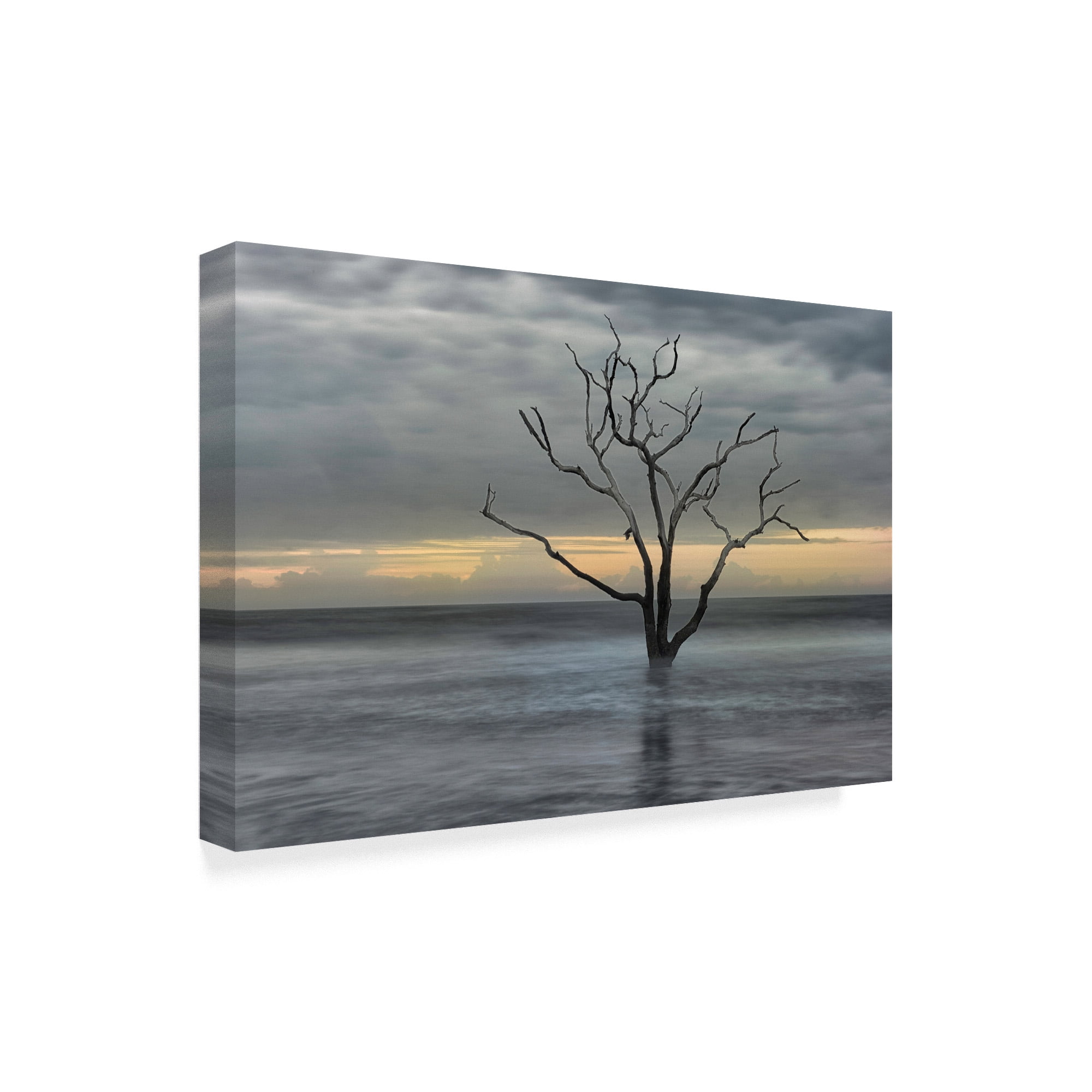 Trademark Fine Art 'Gray Skies' Canvas Art by Danny Head