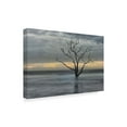 thumbnail image 2 of Trademark Fine Art 'Gray Skies' Canvas Art by Danny Head, 2 of 4