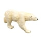 thumbnail image 1 of Safari Ltd Wild Safari Sea Life Oso polar Safari Ltd Safari Ltd., 1 of 2
