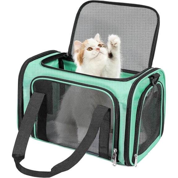 Sanie Airline Approved Pet Carrier for Small Cats Dogs Up to 15 Lbs - Soft Sided TSA Travel Carrier with Mesh Windows - Collapsible Puppy Kitten Travel Bag - 15.7"x10.2"x10.2"