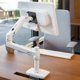 thumbnail image 4 of ERGOTRON LX DESK MOUNT, LCD AR Ergotron 45490216Ergotron, 4 of 5