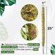 thumbnail image 3 of Poste de musgo, poste de musgo real para estacas de plantas flexibles, palo de musgo multifuncional, 3 of 8