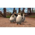 thumbnail image 4 of Madagascar 2: Escape 2 Africa - Nintendo DS (Renewed), 4 of 5