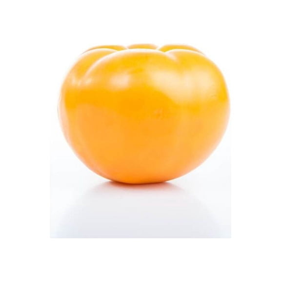 Tomato Brandywine Yellow Seeds/ Annual/ Full Sun/ 2500 Seeds 1/4 oz/ Zellajake Farm and Garden - B222