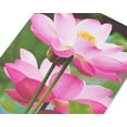 thumbnail image 4 of American Greetings Blank Thinking of You Cards for Friend, Floral (6-count), 4 of 7