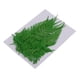 thumbnail image 4 of Paquete de 22 Flores Secas Prensadas Reales, Helechos Negros, Plantas, Hojas, Adornos, Materiales de Bricolaje, Fabricación de Tarjetas, Joyería, Manu, 4 of 5