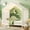 White Canopy, variant on Bellemave Twin Size Canopy Bed, Montessori Floor Bed with High Railings, Wooden Twin House Bed with Roof, House Shaped Bed Twin, Natural