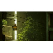Stray - PlayStation 5