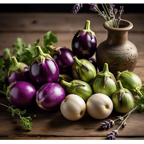 100 Round Eggplant Mix Plant Seeds, Non-GMO, High-Quality by Mai's Family