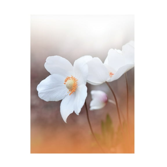 Trademark Fine Art Juliana Nan The Sound Of Innocence Canvas Wall Art