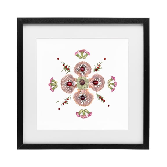 Stupell Industries Eclectic Clam Shells & Botanicals Pattern Black Framed Print Under Glass, 13 x 13, by Beth Adoette