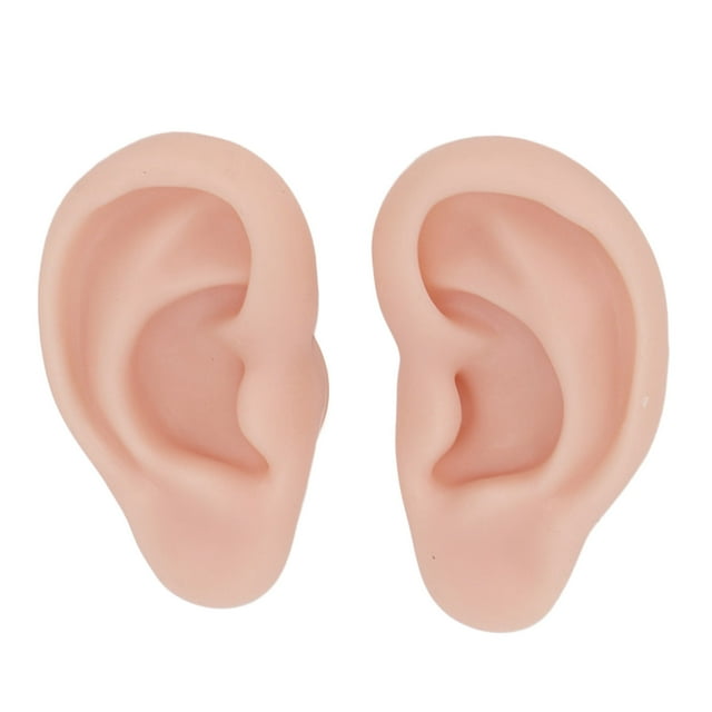 Modèle d'Oreille en Silicone, Simulation Pratique Réutilisable Expérience d'Oreille Modèle Largement Utilisé pour Exercice d'Oreille Couleur Peau Claire, Couleur Peau Moyenne, Couleur Peau Profonde