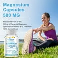 thumbnail image 4 of Magnesium Capsules 500mg - Promote Muscle, Joint and Heart Health, Improved Sleep, Stress - 120 Capsules, 4 of 9