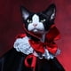 thumbnail image 4 of 1pc Halloween Pet Costume For Cats And Small Dogs, Party Decorations Dog Capes With Bow Tie For Small And Medium-sized Dogs, 4 of 5