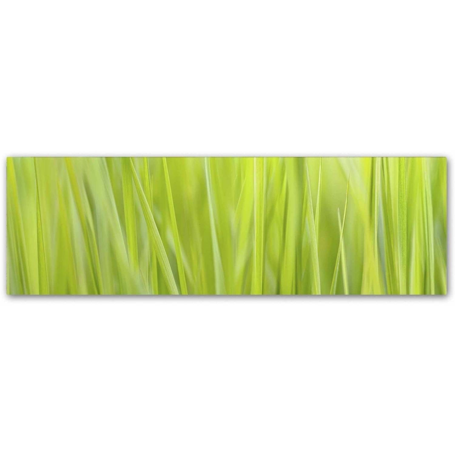 Trademark Fine Art 'Green Grass Scape' Canvas Art by Cora Niele