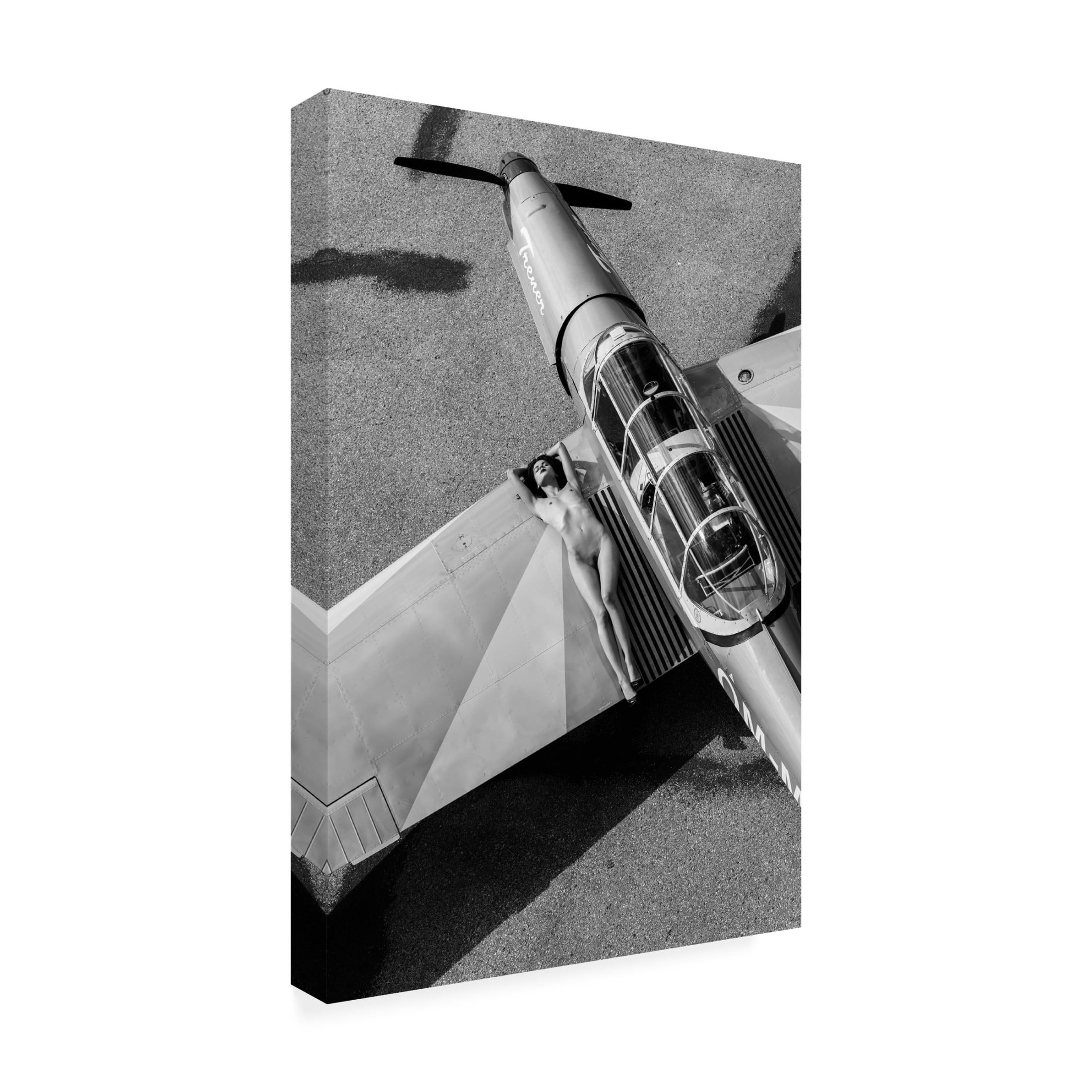 Trademark Fine Art Jan Blasko Trener Canvas Wall Art