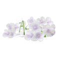 thumbnail image 1 of 20 piezas de cabezas artificiales Boda DIY Decoración de playa - Multicolor, se describe Púrpura claro yotijar Pétalos de flores artificiales, 1 of 8