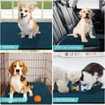 thumbnail image 7 of Dog Door Mat for Muddy Paws, Dirt Trapping Mat, Pet Doormat, Absorbent Non-Slip Mat, Indoor Entry Mat, Machine Washable Mat, Dirt Trapping Mat, Keeping Floors Dry and Clean,35X23inch, 7 of 7