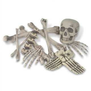 Bag Beach Bones Skeleton