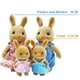 thumbnail image 3 of sylvanian families 【 Animales Del Bosque 】 Familia De Cuatro Familias Muebles De La Conejo Muñecas De villa set Juguetes Casa Vino Cumpleaños, 3 of 3