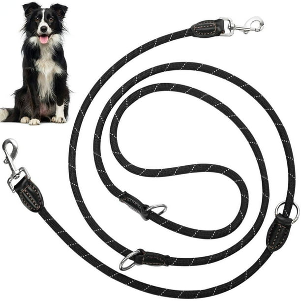 Dog leash for 2 dogs online