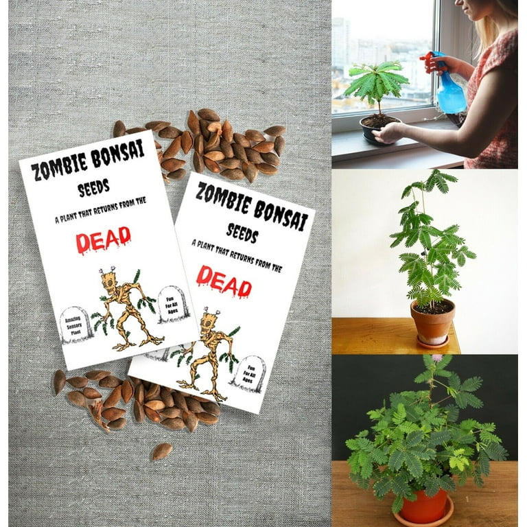 Zombie Plant Seeds