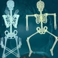 thumbnail image 4 of Spencer 2 Pack 5-foot Halloween Skeleton Decoration Life Size Realistic Luminous Poseable Human Skeleton Prop Indoor/Outdoor Yard Party Hanging Decor, 4 of 7