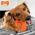 thumbnail image 4 of Nylabone Power Chew Donut Dog Chew Toy 70th Birthday Orange Pumpkin & Peanut Butter Large (1 Count), 4 of 15