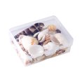 thumbnail image 2 of Conchas de Playa Naturales Conch Beads para La Joyería de Bricolaje Haciendo Hallazgos de La Haciendo SM SunniMix Concha de caracol natural, 2 of 8